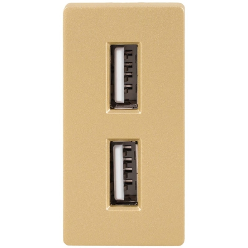 Modul Încărcător Dublu USB Tip A+A 2.4A Auriu Pentru Rame