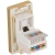 Modul Priză Computer RJ45 Cat 6 Aurie Pentru Rame