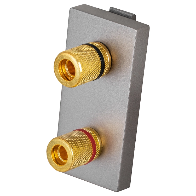 Modul Priză Difuzor Stereo Gri Pentru Rame