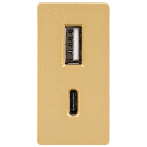 Modul Încărcător Rapid Dublu USB Tip A+C 20 WAT Auriu Pentru Rame