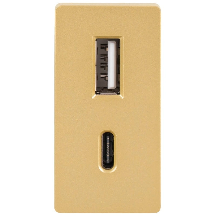 Modul Încărcător Rapid Dublu USB Tip A+C 20 WAT Auriu Pentru Rame